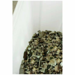 Pack SCHEPPACH Broyeur électrique - 2400 W - 2 Sac Collecteurs - GS55 - Taille-haies 2 En 1 - 41 Cm - 710 W - TPX710 -Broyeur Magasin 54111111 4